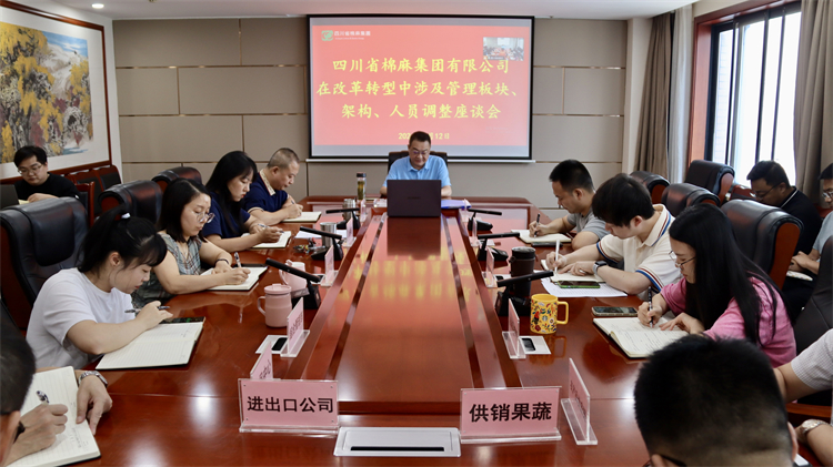 集團公司召開在改革轉(zhuǎn)型中涉及管理板塊、架構(gòu)、人員調(diào)整座談會